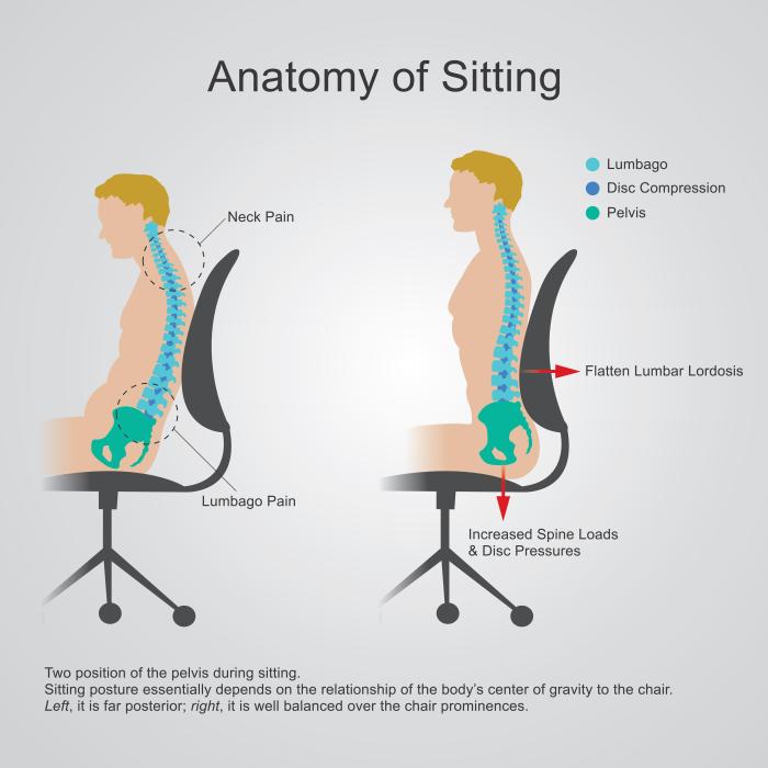 Ergonomic Contours Redefine Traditional Seating