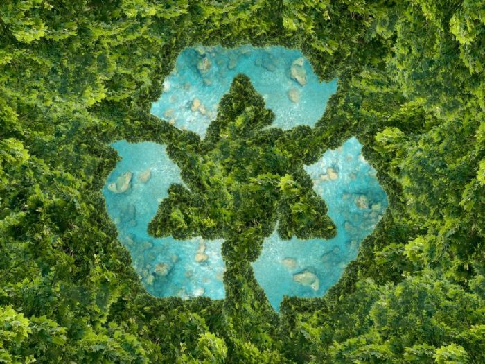Sustainable Materials Drive Future Creations