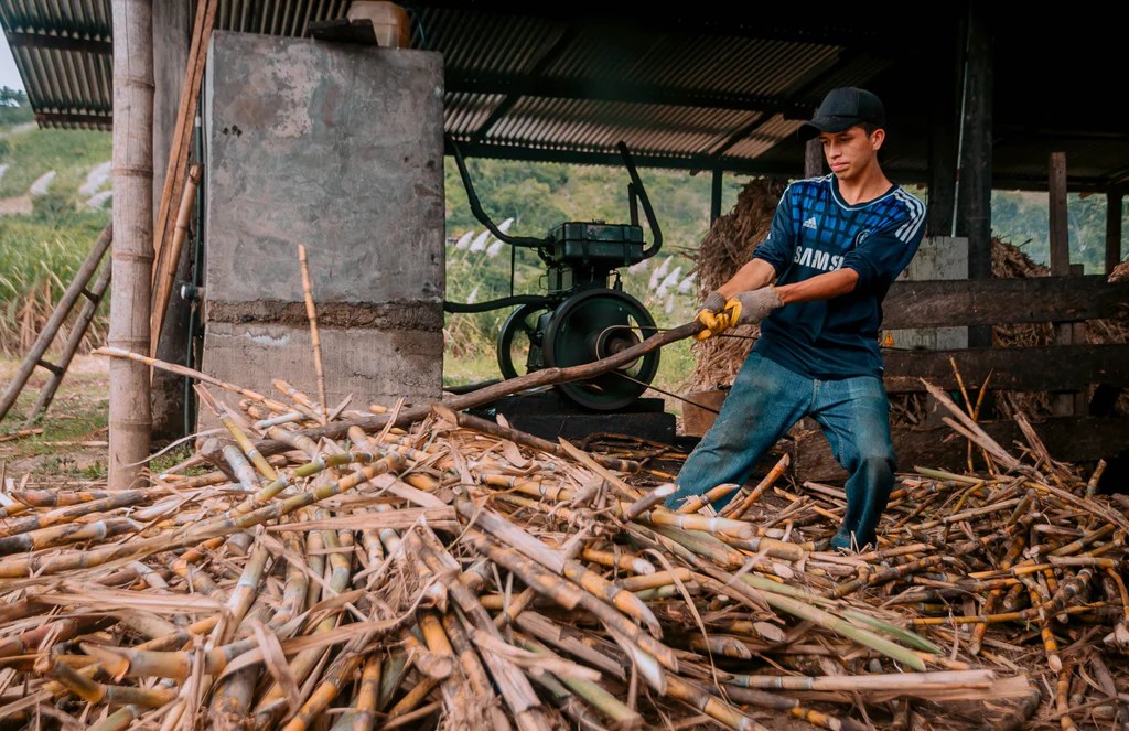 Material Berkelanjutan Revolusi Produksi Mebel