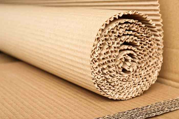 Packaging eco friendly sustainable future Packaging eco friendly sustainable future