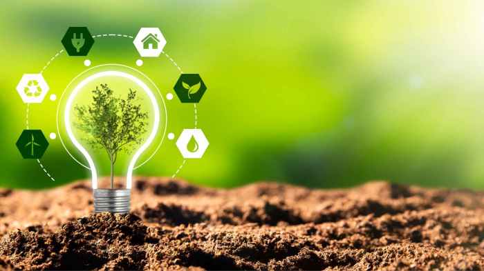 Sustainable Furniture Manufacturing: Innovations for a Greener Future