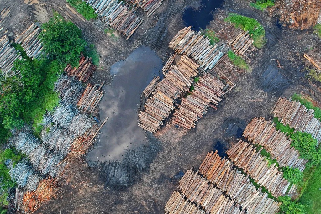 Sustainable Materials in Furniture Production