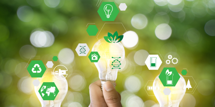 Sustainable Furniture Manufacturing: Innovations for a Greener Future