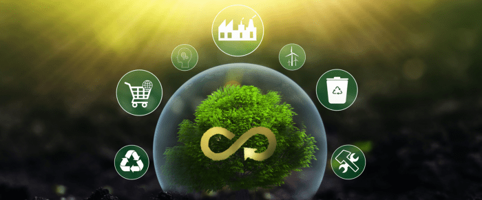 Eco-friendly Manufacturing concept. A woman showcases sustainable ...